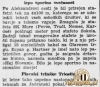 StafetniTek05_09_1938_Jutro08_09_1938.jpg