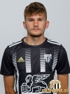 Henrik Nerguti leta 2021