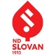 slovan2022.jpg