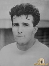 Emir Džafič