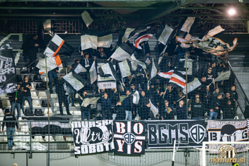 Black Gringosi