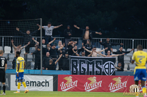Black Gringosi v Kopru.