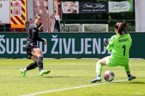 Šörc gol Kolblove.