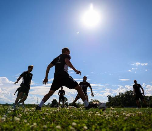 Trening murašev v ZDA.