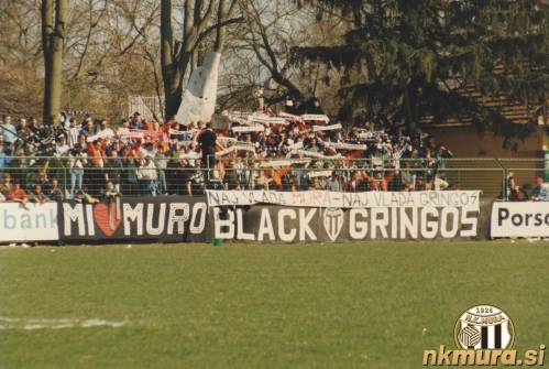 Black Gringosi.