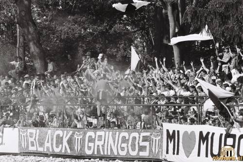 Black Gringos.
